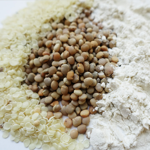 Guar Gum William Bernstein Company